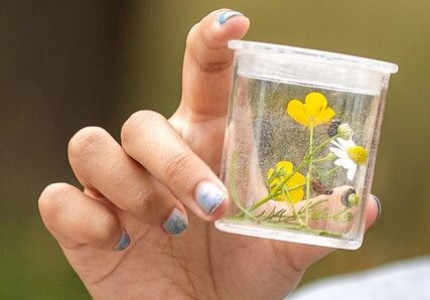 Educatieve natuurplaats Bosnodig helpt Anne Flokstraschool aan eerste prijs