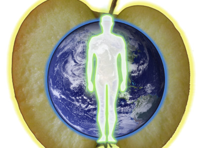 Care & Wellbeing in de Tarot