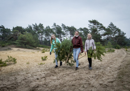 Zaag Je Eigen Kerstboom en help mee om de open landschappen te behouden