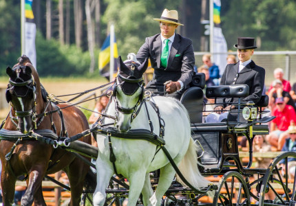 Sterk deelnemersveld Paardenspektakel