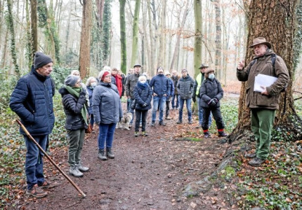 Op nieuwe manier naar bomen kijken