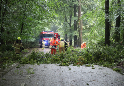 Aardhuisweg in Uddel volledig afgesloten na valwind, brandweer verwijdert meerdere bomen