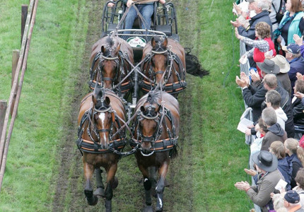 Hoogstaande paardensport in Beekbergen