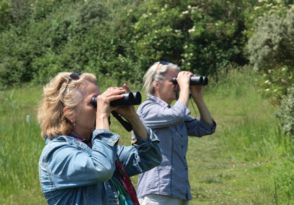 Naar vogels leren kijken