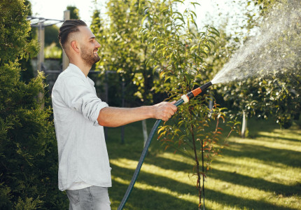 Houd je gazon mooi en gezond in de zomer: volg deze tips