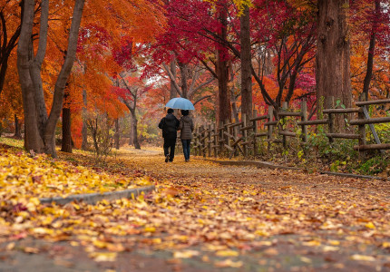 Wandelen in najaar of herfst in Europa: 4 tips