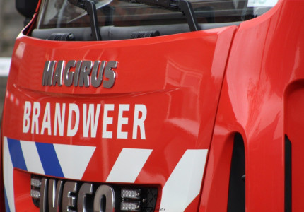 Boom versperd Europaweg in Ugchelen