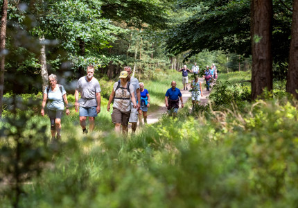 Internationale 4 Daagse van start