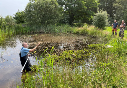 Poelenherstelproject in Apeldoorn