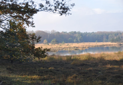 Uittips voor in Apeldoorn