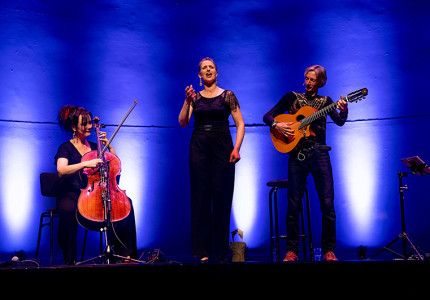 Reünie trio voor kerstconcerten