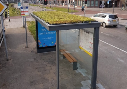 Mogelijk groene dakjes voor Apeldoornse bushokjes