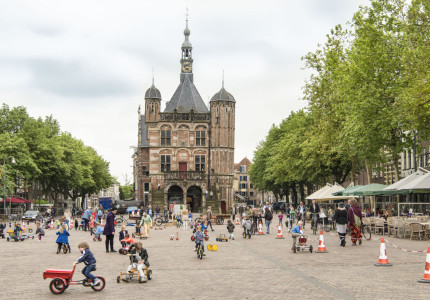 Parkerpen met Deventer ikoon