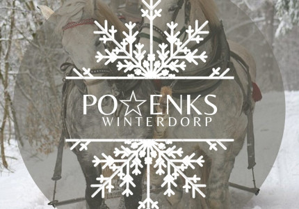Sfeervol Winterdorp in Posterenk