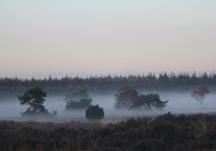 Dit zijn de populairste Instagram hotspots van Gelderland