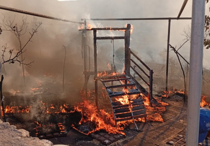 Brand verwoest dierenopvang op Griekse Kythira