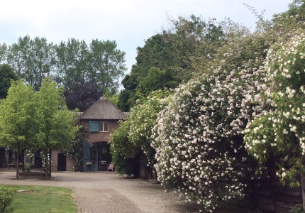 Rozenweekenden De Roode Hoeve