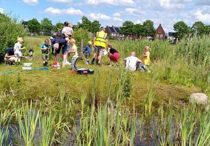 Waterbeestjes in Zandweteringpark