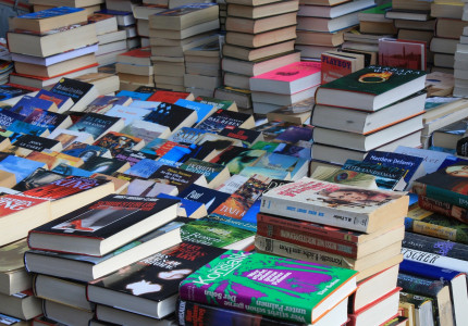Aangepast programma ‘boekendag’