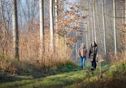 Drukte in de bossen als gevolg van de lockdown