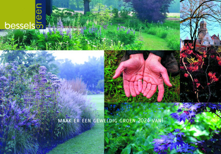 Een geweldig groen 2024 begint bij uw eigen tuin