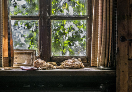 CODA Apeldoorn en Apeldoorn Photo presenteren Fotocafés