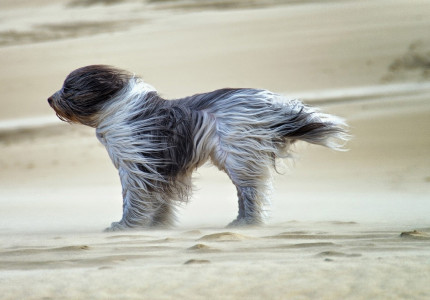 Na de hitte is er wind en regen op komst