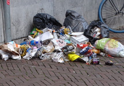 Apeldoorn, Partij voor de Dieren Apeldoorn houdt een cleanup en afvalbingo bij Malkenschoten.