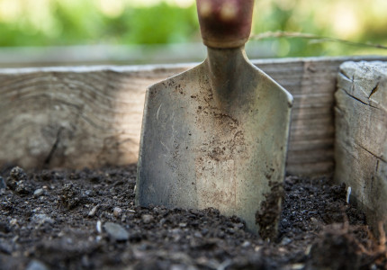 Samen maken we van ‘ons kerkplein’ het groene hart van Olst