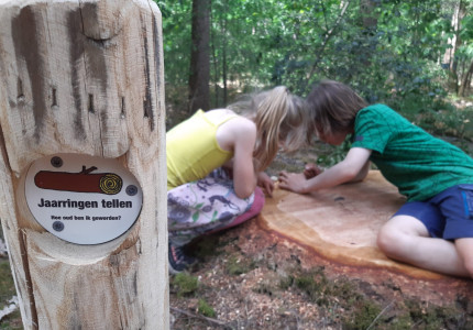 Klompenpad voor kinderen op landgoed Woudhuizen