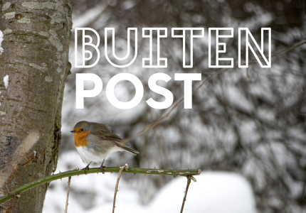 Blotevoetenpad Wintereditie en kerstbomenverkoop vanaf 3 december op Buitenpost