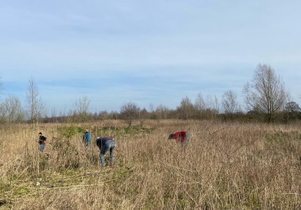 ZE zoekt vrijwilligers voor groenonderhoud