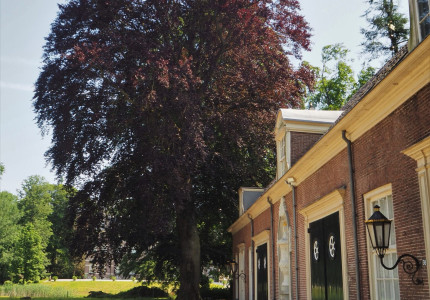 Excursie rond bomen
