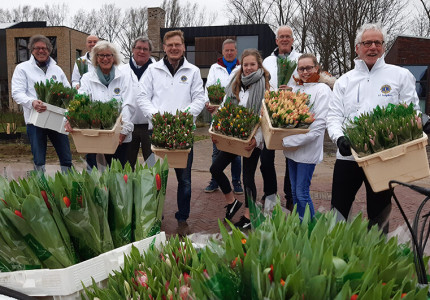 Tulpenactie Lionsclub