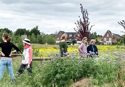 Plukken en proeven op klimaatbestendige plek