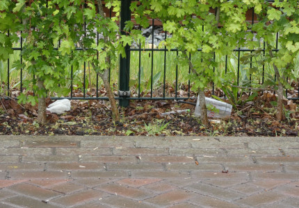 CleanUp langs Apeldoorns spoor