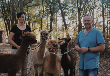 Zomertip: Alpaca Ranch d’n Achterhoek
