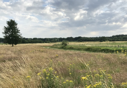Excursie langs Onderlaatse Laak
