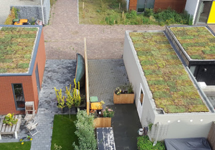 Steeds meer inwoners Overijssel vergroenen eigen omgeving