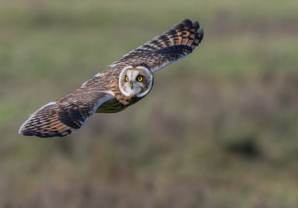 Prachtige foto’s van natuurgebieden
