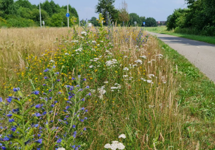 Het gras blijft langer in Apeldoorn – met een reden!