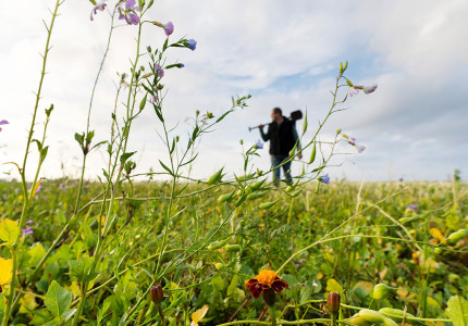 Gelders platform voor boeren met natuurinclusieve landbouw