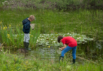 Watermiddag op Gorsselse Heide