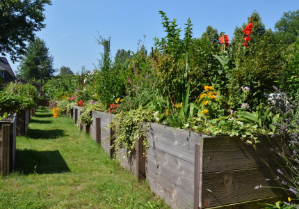 Open dag buurttuin De Heeze