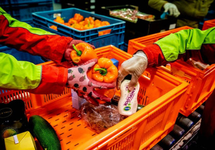 Eerste groei zichtbaar bij voedselbanken