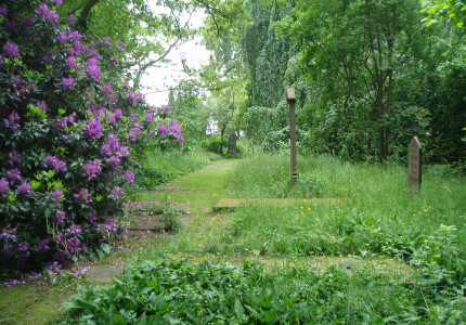 Wandelen langs de graven