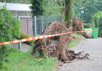 Omgewaaide bomen of losse takken door stormschade