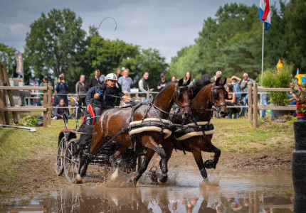 Samengestelde menwedstrijd
