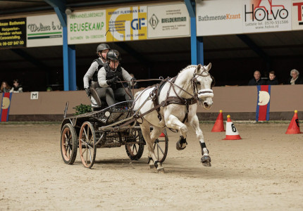 Bathmen te Paard het hippische hoogtepunt van Deventer en omgeving