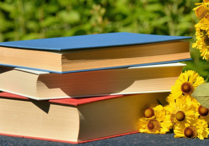 Online Zomerserie over Gelderse geschiedenis